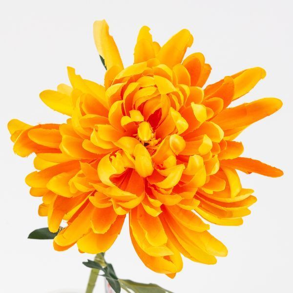 Хризантема штучна, жовта, 57 см (2000-145YELLOW) E-2000145YELLOW фото