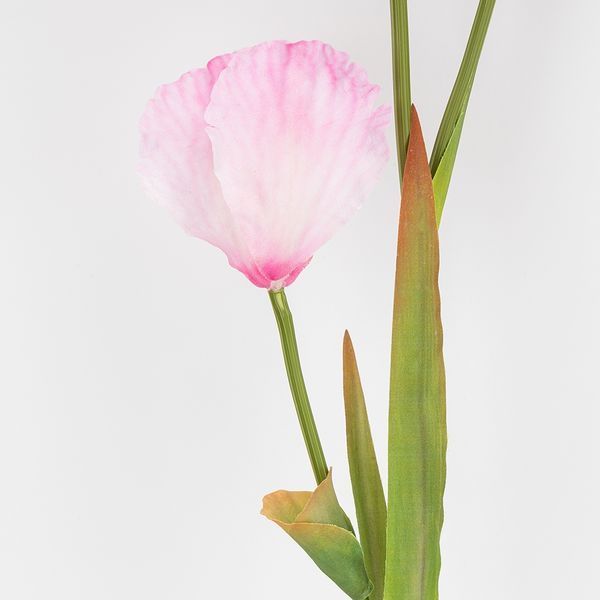 Штучний ірис, рожевий, 80 см (2026-030/pink) E-2026030/pink фото