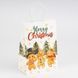 Подарочный пакет "Имбирные пряники", 15*21 см * Рандомный выбор дизайна (9264-005) E-9264005 фото 3